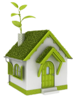 دپارتمان ملکی شاهان در بندرعباس